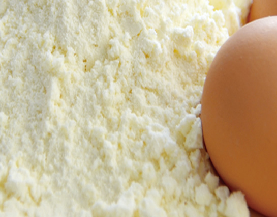 Buy-Egg Yolk-Powder EU