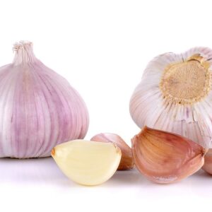 Wholesale Fresh White-Garlic online